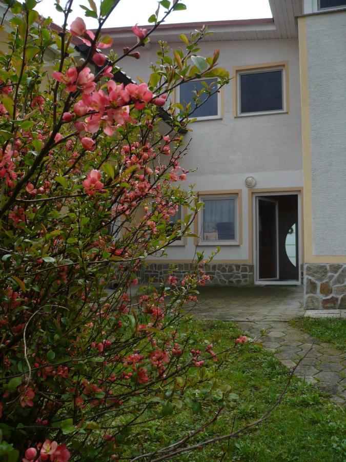 Apartmaji In Sobe Kocjancic Podčetrtek Exterior foto